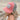 Rhubarb Hat | Lifestyle
