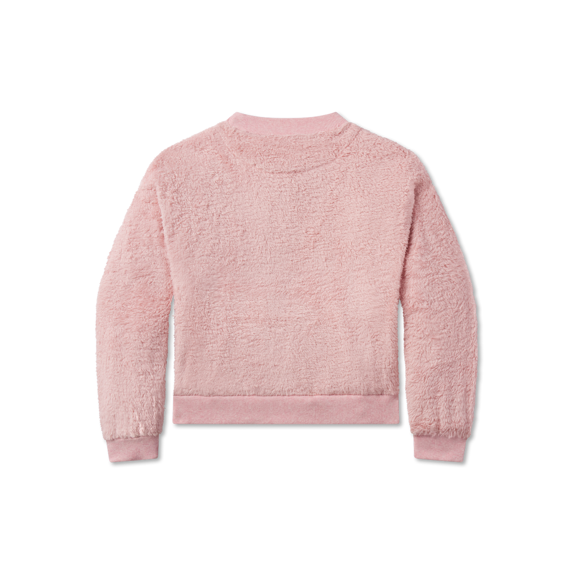 Camellia | Back
