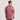 Rhubarb Pointer | On Model Back